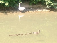 /album/not-convinced-yet-ask-them-/foto-jpg1/